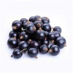Greenbay Black Currants 7 Oz.