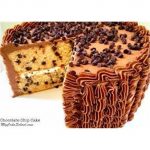 Greenbay Chocolate Chip Cake 1 Slice