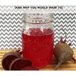 Greenbay Ginger & Beet Kvass Super Shot Fresh Cold Pressed 4 Oz