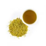 Greenbay Ginger & Turmeric Herbal Tonic Tea 16 Fl Oz