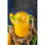 Greenbay Mango Nectar Juice 16 Fl Oz