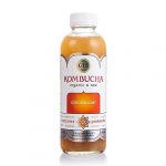 Gts Organic And Raw Gingerade Kombucha 16 Fl Oz