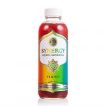 Gts Synergy Organic Trilogy Kombucha 16 Fl Oz