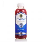 Gts Synergy Raw Gingerberry Kombucha 16 Fl Oz