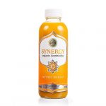 Gts Synergy Raw Mystic Mango Kombucha 16 Fl Oz