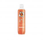 Sparkling Ice Peach Nectarine Zero Sugar With Antioxidants And Vitamins Sparkling Water 17 Fl Oz