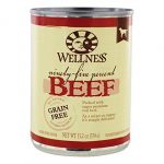 Wellness 95% Beef Grain Free Dog Food 13.2 Oz