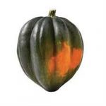 Acorn Squash